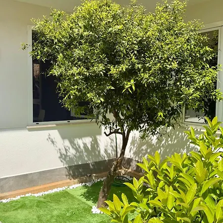 Duci Mondello Guesthouse-2
